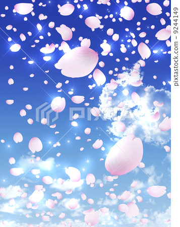 SakuraFubuki  9244149