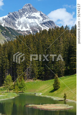Alpine view (Vorarlberg,Austria) Alpine view (Vorarlberg,Austria) 9244217