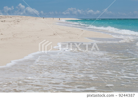 久米島孵化海灘 9244387