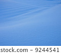 Snow surface with change @ Winter Tsugaike Plateau 9244541