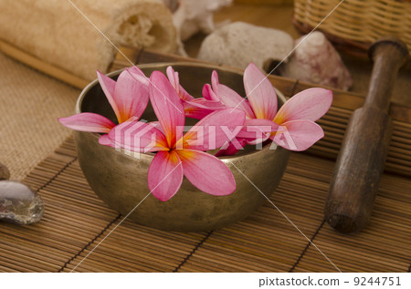 tropical spa setup with traditional frangipani flower and massag 9244751
