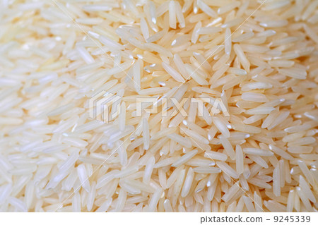 茉莉香米（泰國米飯） 9245339