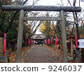 Sanada Shrine 9246037