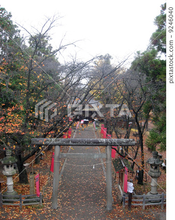 真田神社 真田神社 9246040