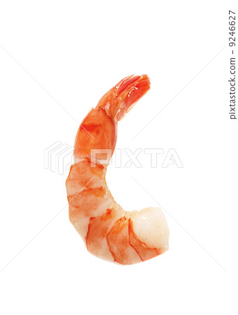 Closeup view of shrimp isolated 9246627