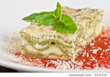 lasagna lasagna 9247295