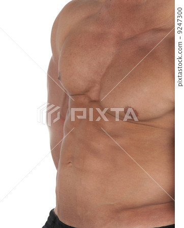 bodybuilder 9247300