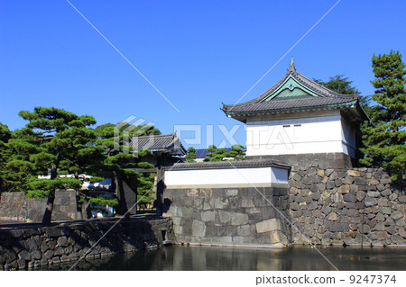 皇宮白樺門 9247374