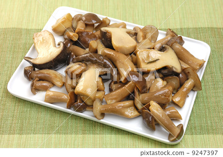美味蘑菇濃 美味蘑菇濃 9247397