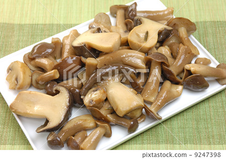 美味蘑菇濃 9247398