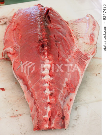拆除金槍魚 拆除金槍魚 9247456