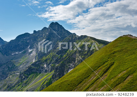 Summer Tatra Mountain, Poland 9248239