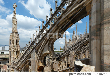 The roof of Milan Cathedra (Italy) 9248256
