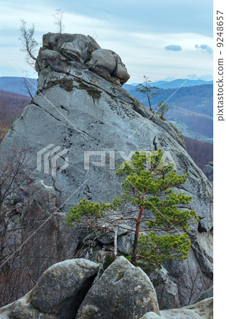 lofty stones in forest 9248657