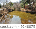 Oshino Hakkai exit pond 9248875
