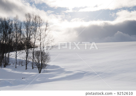 Winter Hill Winter Hill 9252610