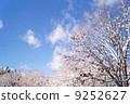 Winter sky 9252627