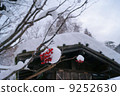 Snow and red berries 9252630