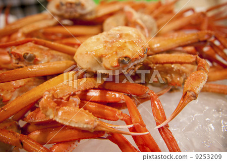 Crab Crab 9253209