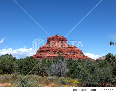 Bell Rock America 9256556