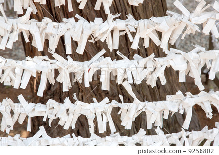 Omikuji Omikuji 9256802
