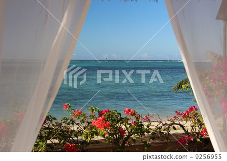 Ashgao Beach seen from the gazebo 9256955