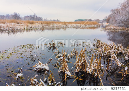 View On The Bog. Grass And Water. 9257531