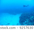 Sand and divers 9257630