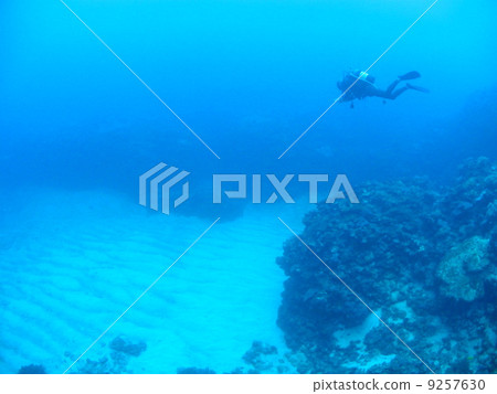 Sand and divers Sand and divers 9257630