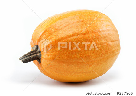 Pumpkin isolated on white background. Pumpkin isolated on white background. 9257866