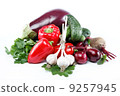 Healthy food. Fresh vegetables on a white background. 9257945