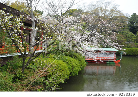 Kyoto Spring Shrine Spring Garden Kyoto Spring Shrine Spring Garden 9258339