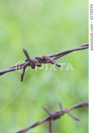Old barbed wire the closeup 9258939