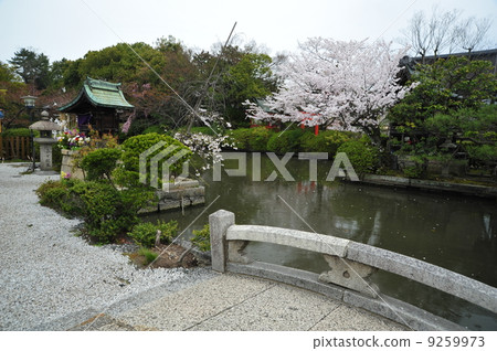 Kyoto Shinsen Garden 9259973