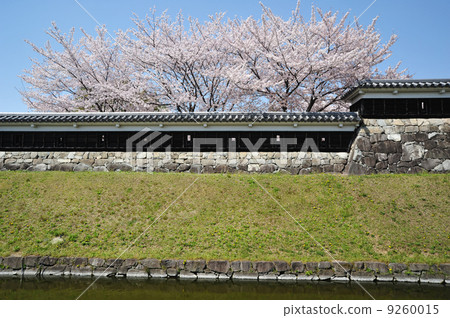 Spring of Kyoto Katsuraji Castle 9260015