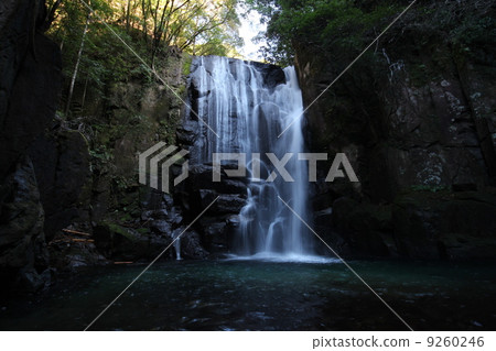 Waterfall of Kuwano tree Waterfall of Kuwano tree 9260246