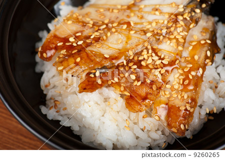 eel with rice 9260265