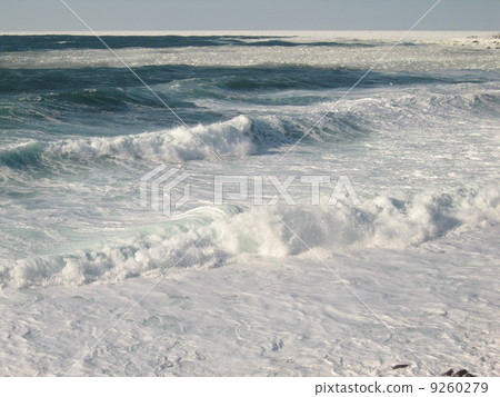 White wave White wave 9260279