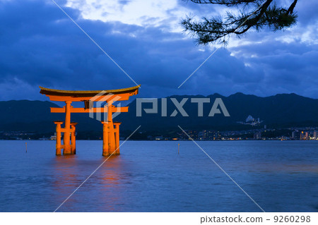 點亮Aki的宮島嚴島神社 9260298