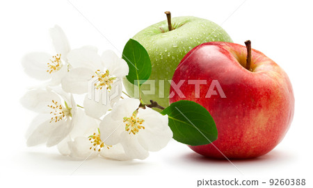 Apples and flower Apples and flower 9260388