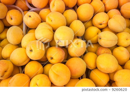 Fresh natural apricots Fresh natural apricots 9260620
