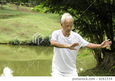 asian senior performing taichi 9261534