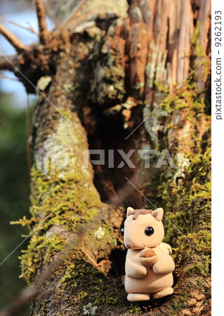 Risu為冬天做準備 9262193