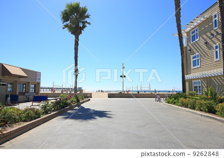 Summer coastline 9262848