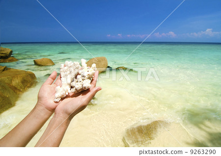 hand holding corals 9263290