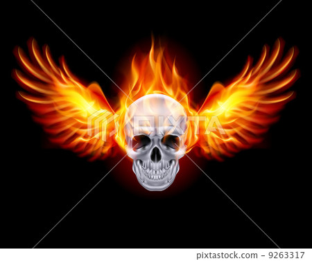 Fiery skull with fire wings. Fiery skull with fire wings. 9263317