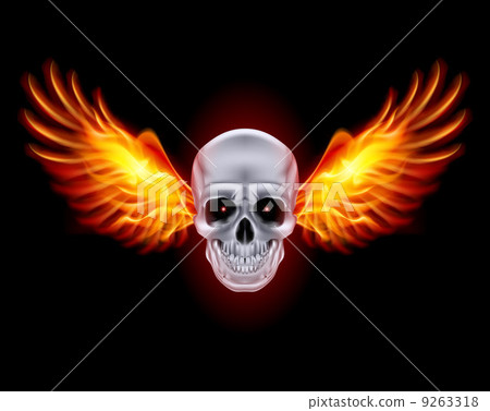 Skull with fire wings. Skull with fire wings. 9263318