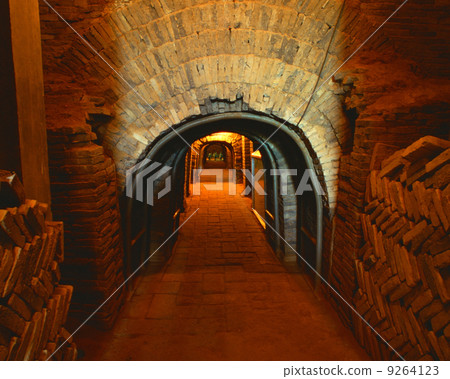 武威雷達漢墓 武威雷達漢墓 9264123