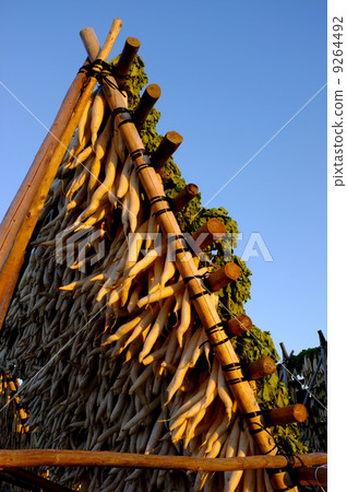 Daikon曬乾的魷魚 Daikon曬乾的魷魚 9264492