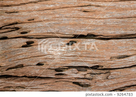wood background wood background 9264783